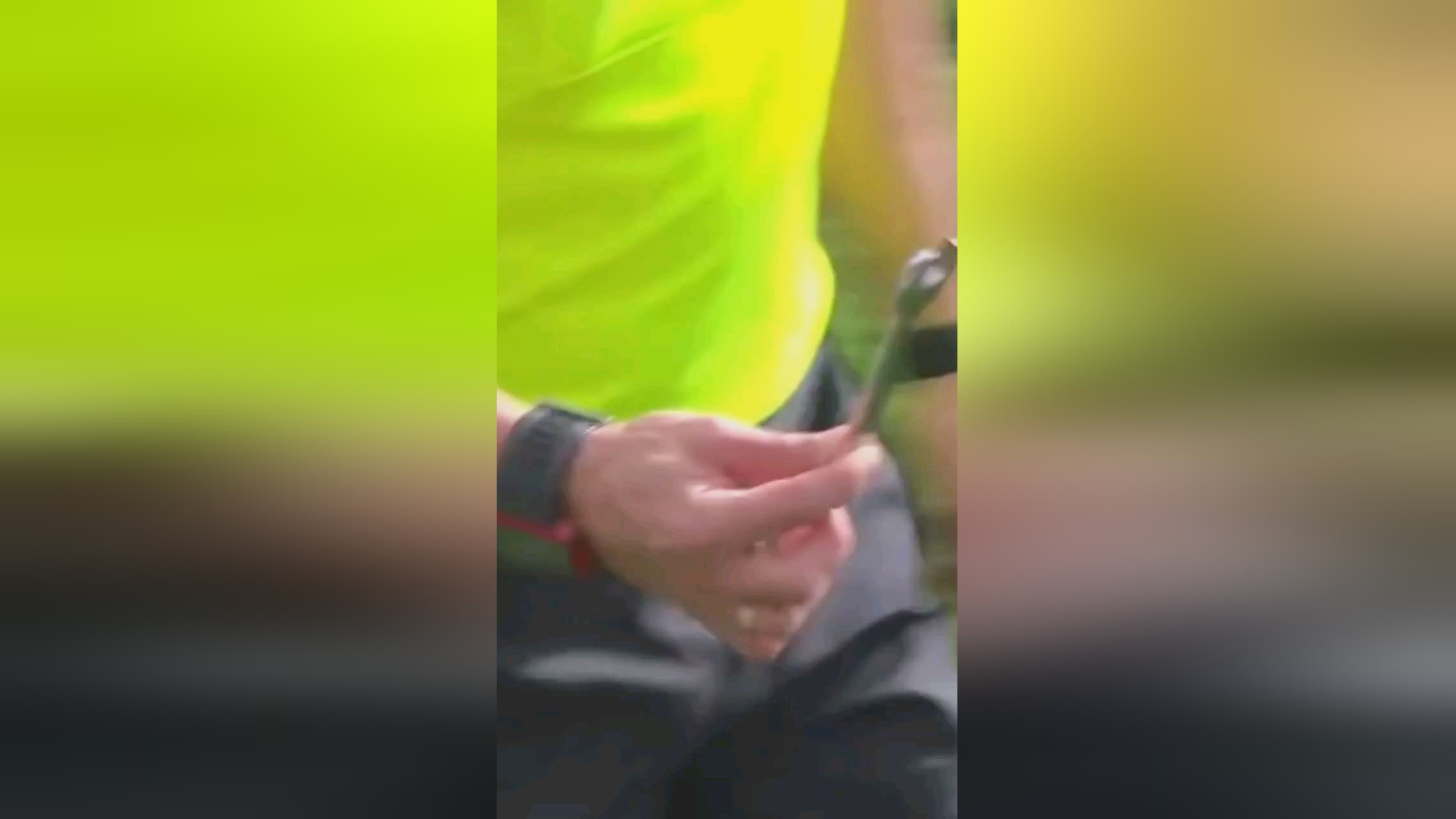 球迷行
